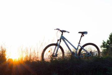 teal hardtail bike on green grass